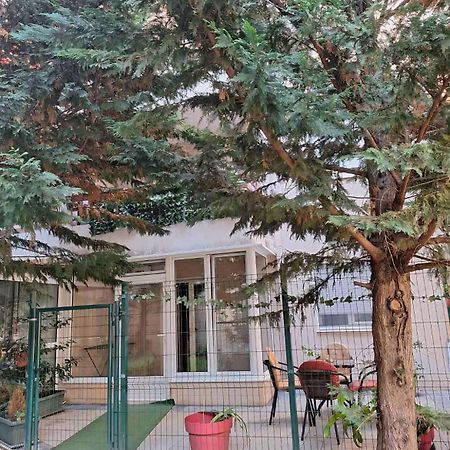 Apartments Vanja Budva Exterior photo